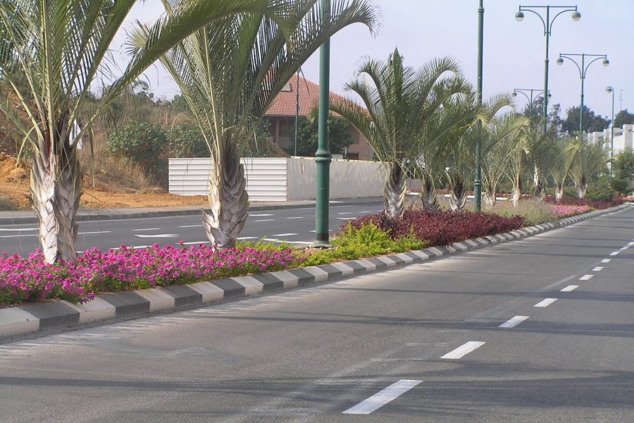 גינון ציבורי