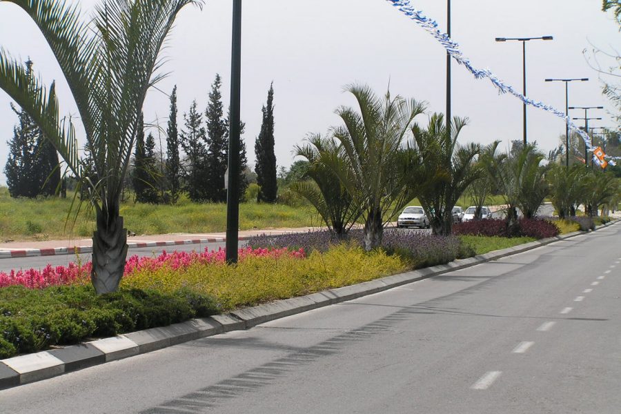 גינון ציבורי